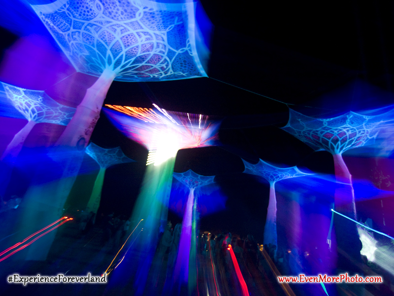 foreverland_evenmorephoto_043