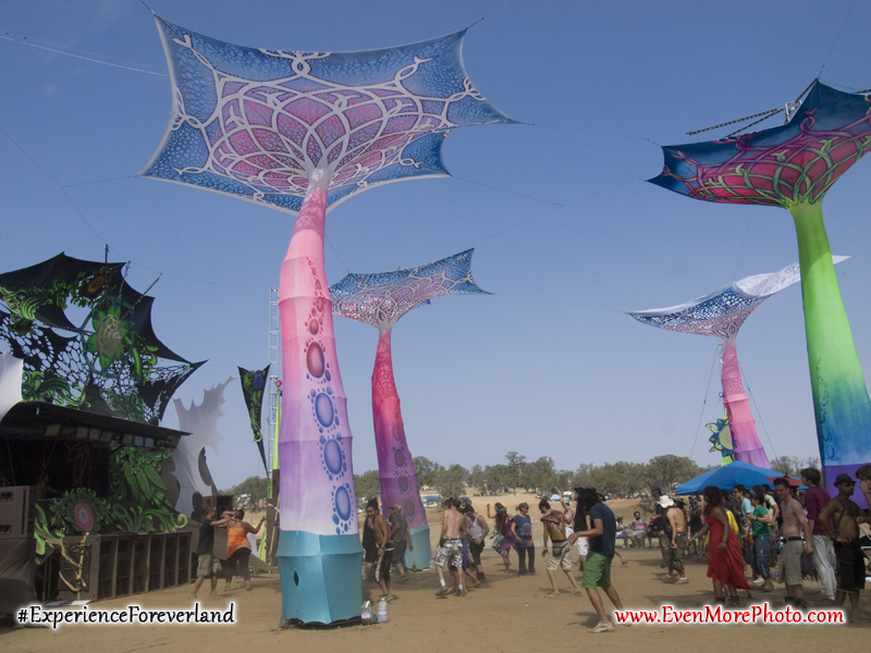 foreverland_evenmorephoto_142