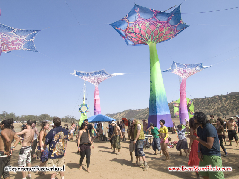 foreverland_evenmorephoto_143