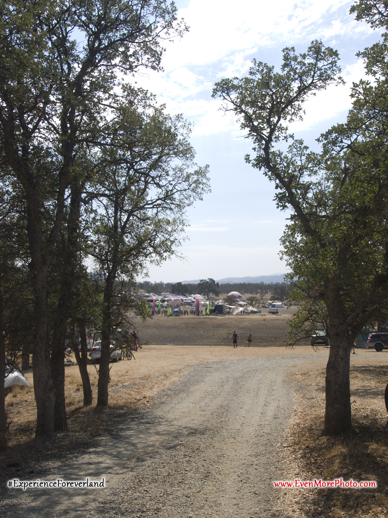 foreverland_evenmorephoto_145